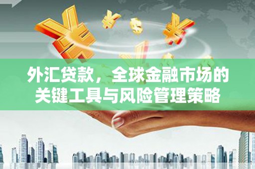 东台外汇贷款，全球金融市场的关键工具与风险管理策略