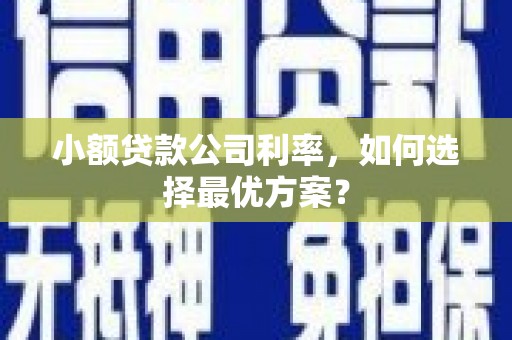 东台小额贷款公司利率，如何选择最优方案？