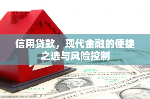 东台信用贷款，现代金融的便捷之选与风险控制