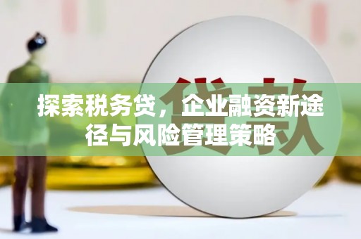 东台探索税务贷，企业融资新途径与风险管理策略