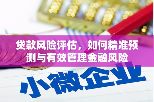 东台贷款风险评估，如何精准预测与有效管理金融风险