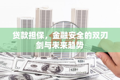 东台贷款担保，金融安全的双刃剑与未来趋势