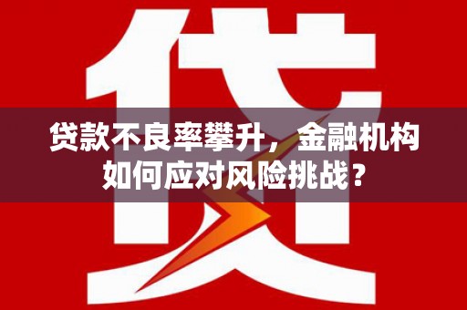 东台贷款不良率攀升，金融机构如何应对风险挑战？