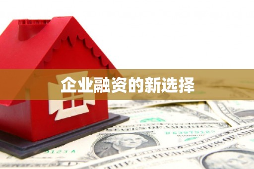 东台企业融资的新选择