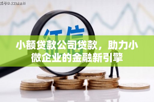 东台小额贷款公司贷款，助力小微企业的金融新引擎