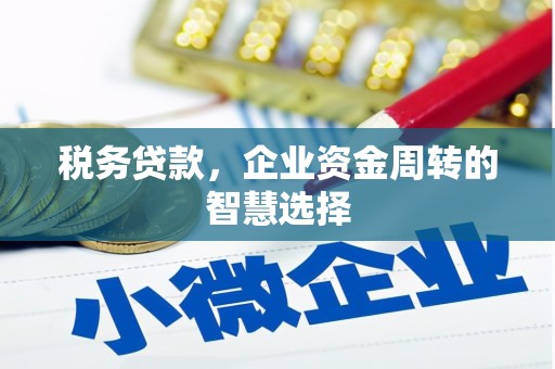 东台税务贷款，企业资金周转的智慧选择
