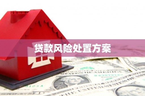 东台贷款风险处置方案