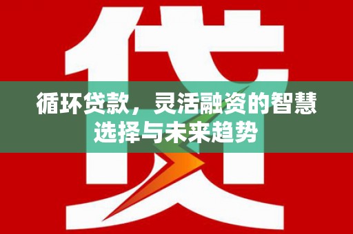 东台循环贷款，灵活融资的智慧选择与未来趋势