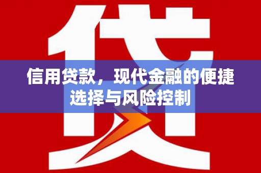 东台信用贷款，现代金融的便捷选择与风险控制