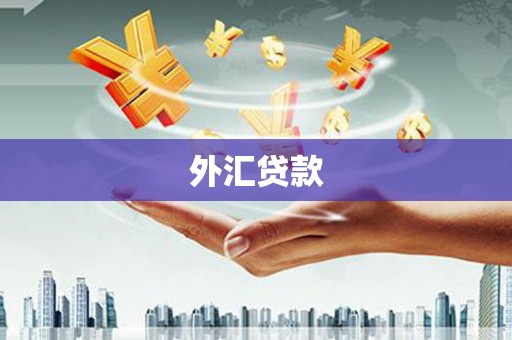 东台外汇贷款