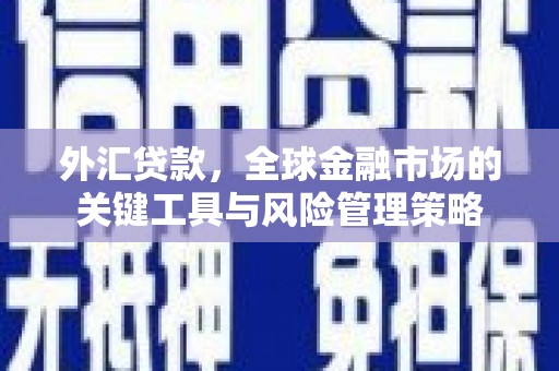 东台外汇贷款，全球金融市场的关键工具与风险管理策略