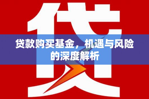 东台贷款购买基金，机遇与风险的深度解析
