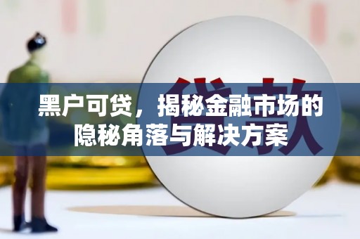 东台黑户可贷，揭秘金融市场的隐秘角落与解决方案