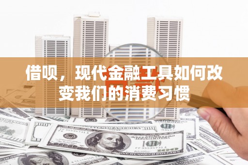东台借呗，现代金融工具如何改变我们的消费习惯