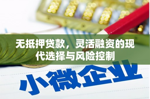 东台无抵押贷款，灵活融资的现代选择与风险控制