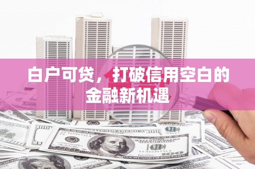 东台白户可贷，打破信用空白的金融新机遇