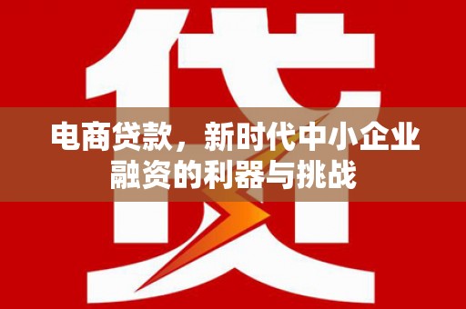东台电商贷款，新时代中小企业融资的利器与挑战