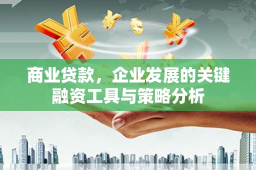 东台商业贷款，企业发展的关键融资工具与策略分析