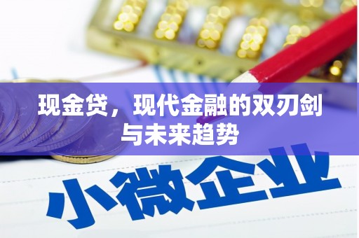 东台现金贷，现代金融的双刃剑与未来趋势