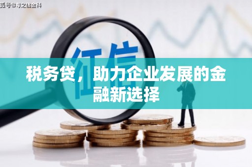 东台税务贷，助力企业发展的金融新选择
