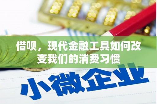 东台借呗，现代金融工具如何改变我们的消费习惯