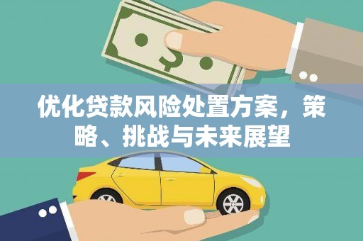 东台优化贷款风险处置方案，策略、挑战与未来展望