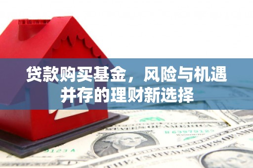 东台贷款购买基金，风险与机遇并存的理财新选择