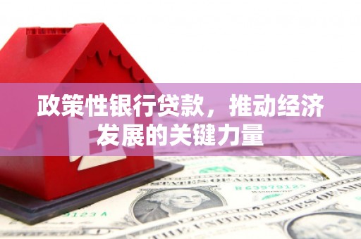 东台政策性银行贷款，推动经济发展的关键力量