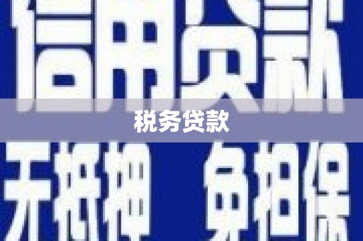 东台税务贷款