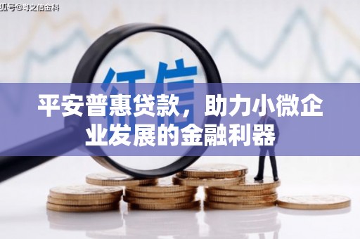 东台平安普惠贷款，助力小微企业发展的金融利器