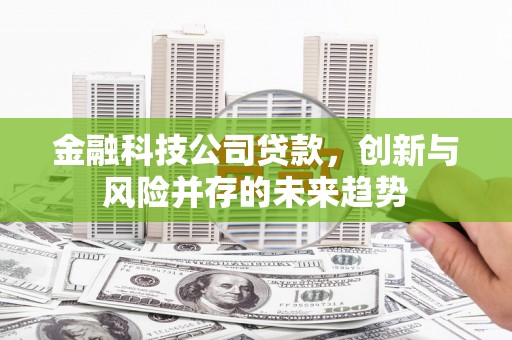 东台金融科技公司贷款，创新与风险并存的未来趋势