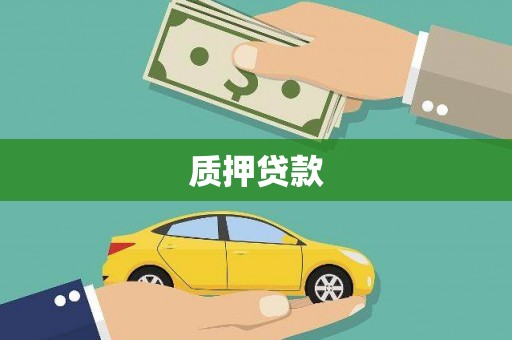 东台质押贷款