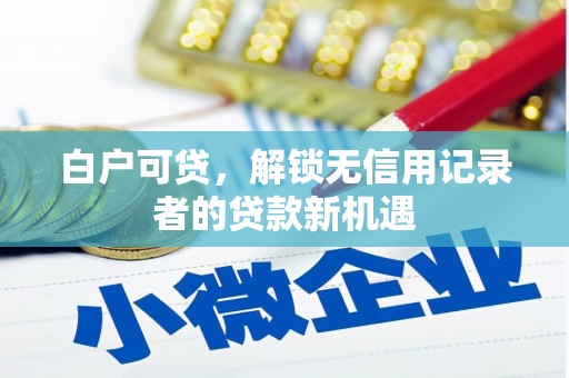 东台白户可贷，解锁无信用记录者的贷款新机遇
