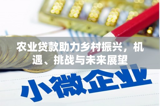 东台农业贷款助力乡村振兴，机遇、挑战与未来展望