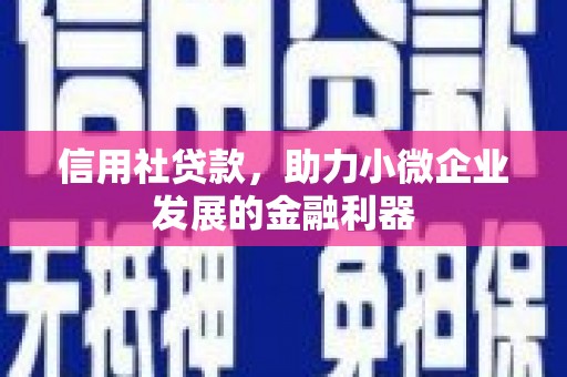 东台信用社贷款，助力小微企业发展的金融利器
