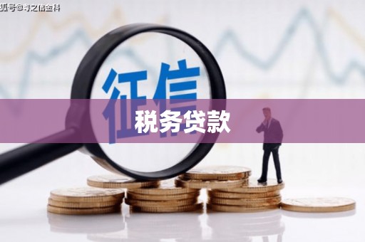 东台税务贷款