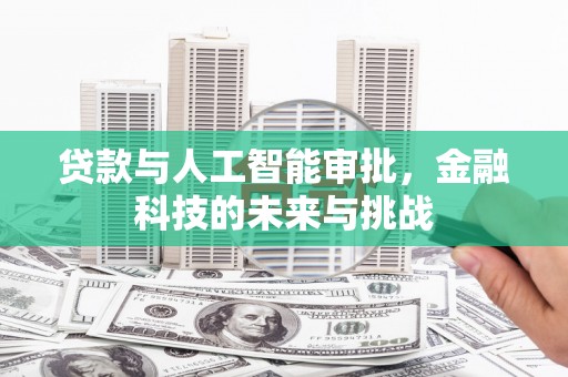 东台贷款与人工智能审批，金融科技的未来与挑战