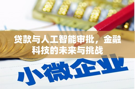 东台贷款与人工智能审批，金融科技的未来与挑战