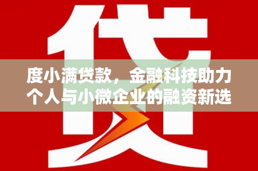 东台度小满贷款，金融科技助力个人与小微企业的融资新选择