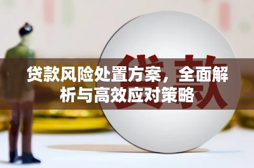 东台贷款风险处置方案，全面解析与高效应对策略