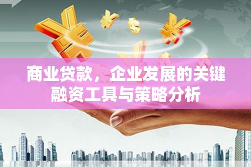 东台商业贷款，企业发展的关键融资工具与策略分析