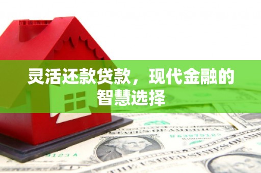 东台灵活还款贷款，现代金融的智慧选择