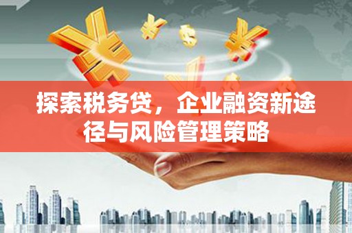 东台探索税务贷，企业融资新途径与风险管理策略