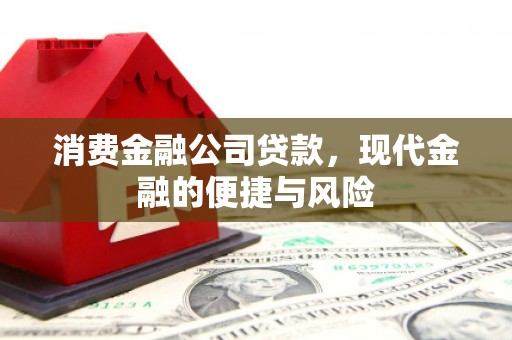 东台消费金融公司贷款，现代金融的便捷与风险
