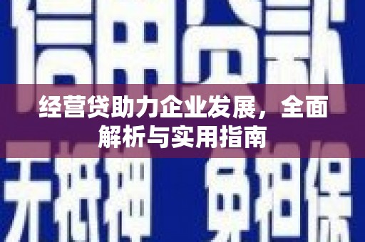 东台经营贷助力企业发展，全面解析与实用指南