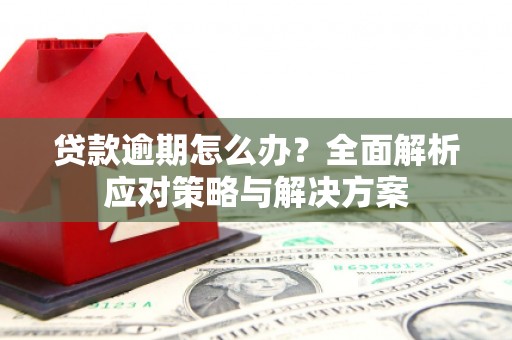 东台贷款逾期怎么办？全面解析应对策略与解决方案