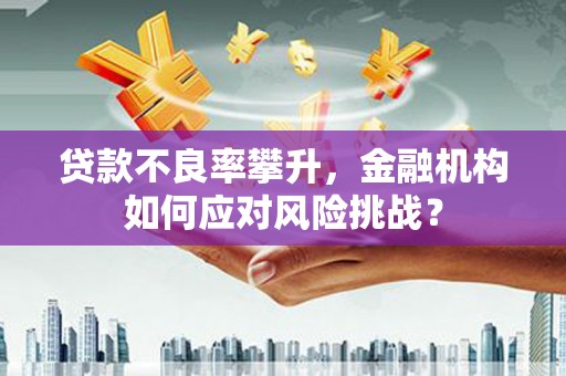 东台贷款不良率攀升，金融机构如何应对风险挑战？