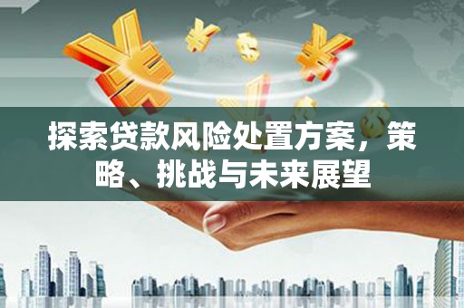东台探索贷款风险处置方案，策略、挑战与未来展望
