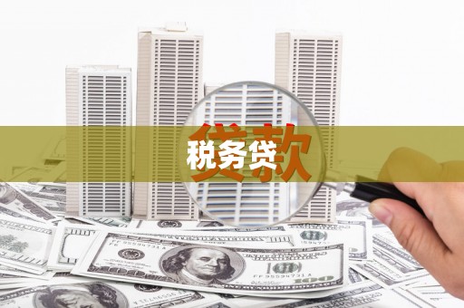 东台税务贷