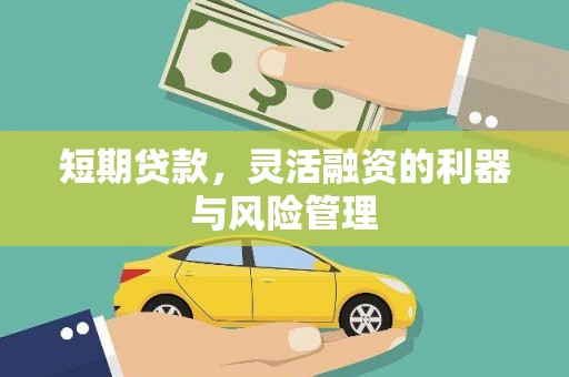 东台短期贷款，灵活融资的利器与风险管理